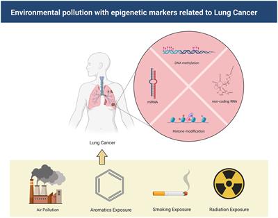 Epigenetic changes driven by environmental pollutants in lung carcinogenesis: a comprehensive review